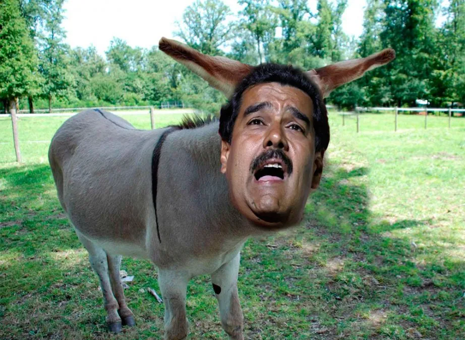 Maduro el burro